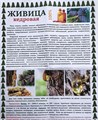Живица КЕДРОВАЯ 100% 25гр 00742