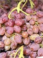 Киш-Миш красный-белый без косточек 01149